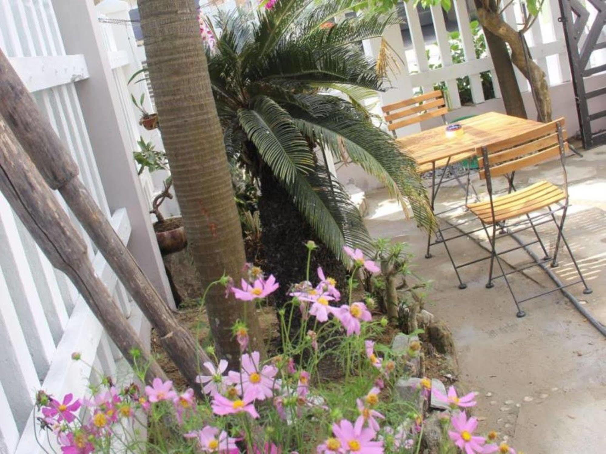Little House Homestay Hội An Ngoại thất bức ảnh